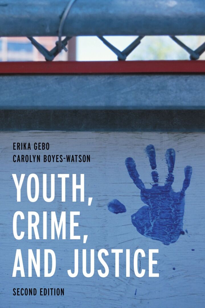 Youth, Crime, and Justice: Learning through Cases