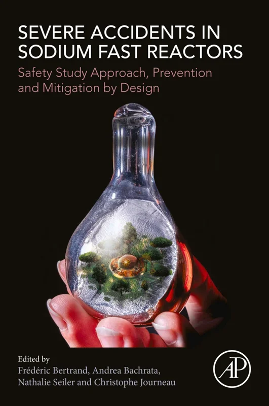 Severe Accidents in Sodium Fast Reactors: Safety Study Approach, Prevention and Mitigation by Design